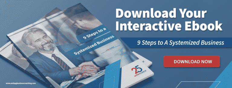 Download your interactive ebook 5 steps to a systemized business with the guidance of a business coach